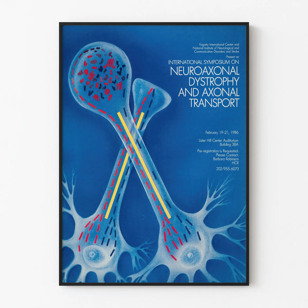 international-symposium-on-neuroaxonal-dystrophy-and-axonal-transport