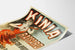 Vintage-Poster Kinia Raffard Amer Toni Aperitif - Retro-Wanddekoration