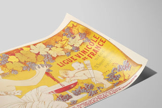 ligue-vinicole-de-france