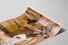 Dekoratives Poster Masters International Peace Corps — Ansicht des Kunstwerks