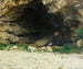 Der Vagabund - Émile Friant — Ansicht des Kunstwerks