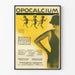 Vintage-Poster Opocalcium für gesunde Wanddekoration