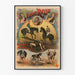 Vintage-Poster der Brüder Rasso Moderne Gladiatoren