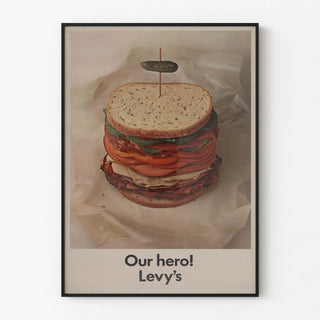our-hero-levys