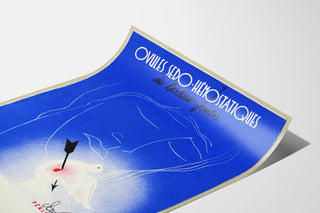 ovules-sedo-hemostatiques-2