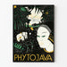 Dekoratives Poster PhytoJava Vintage Botanisch und Weibliches Porträt