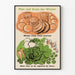 Vintage-Poster für Wanddekoration mit Wintergemüse zum Anbauen