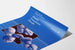 Vintage-Medizinposter Blutplättchen-Transfusionstherapie