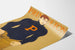 Vintage-Universitätsposter Princeton Football 1907