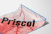 Vintage-Poster Priscol - Retro-Medizinische Wanddekoration
