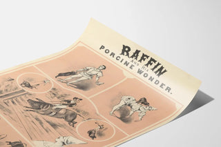 raffin-and-his-porcine-wonder