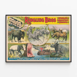 ringling-bros-worlds-greatest-shows-specially-rare-costly-and-perfect-specimens-of-animal-life-in-colossal-zoo