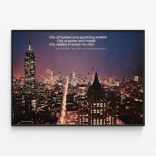 scenically-yours-new-york-city