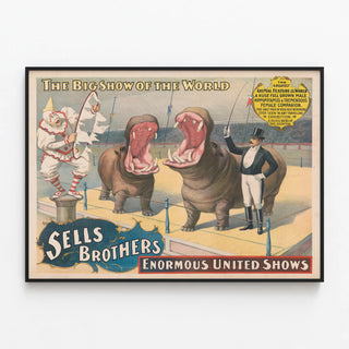 sells-brothers-enormous-united-shows-the-greatest-animal-feature-hippopotamus-and-tremendous-female-companion