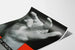 Vintage-Poster Chronische Rheumatismen SETI Wanddekoration