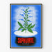 Vintage Dekorationsposter Siphuryl Diurèse