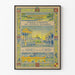 Vintage-Poster von Nîmes und dem Gard – Touristische Wanddekoration