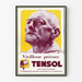 Vintage-Werbeplakat Tensol gegen vorzeitiges Altern