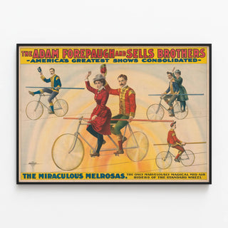 the-adam-forepaugh-and-sells-brothers-the-miraculous-melrosas