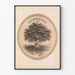 Vintage-Poster Historischer Baum The Century Plant 1876