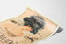 Vintage-Poster The Exquisite Thief Priscilla Dean