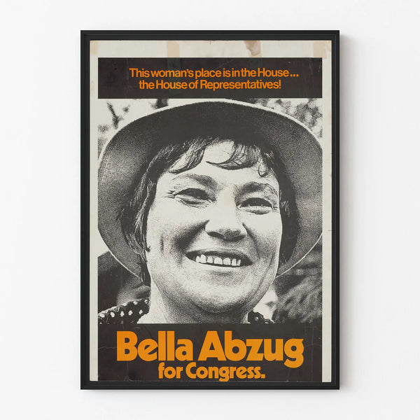 this-womans-place-is-in-the-house-the-house-of-representatives-bella-abzug-for-congress