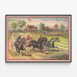 three-harness-racers