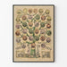 Vintage-Poster Baum der Freiheit mit Wappen der Vereinigten Staaten