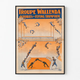 troupe-wallenda-acrobats-and-flying-trampolin