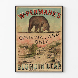 w-permanes-original-and-only-blondin-bear
