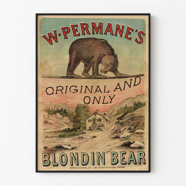 w-permanes-original-and-only-blondin-bear