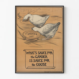 whats-sauce-for-the-gander-is-sauce-for-the-goose