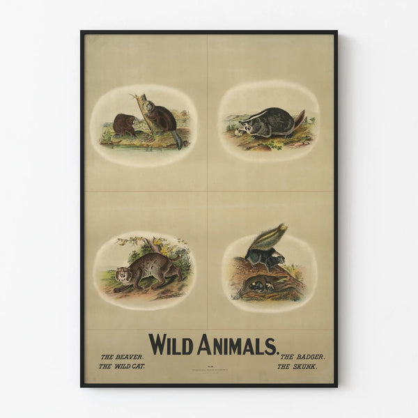 wild-animals
