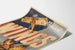Vintage-Poster Wings - Luftige Wanddekoration